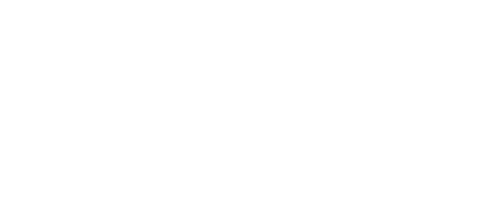 24 VIP Logistics Network GmbH
